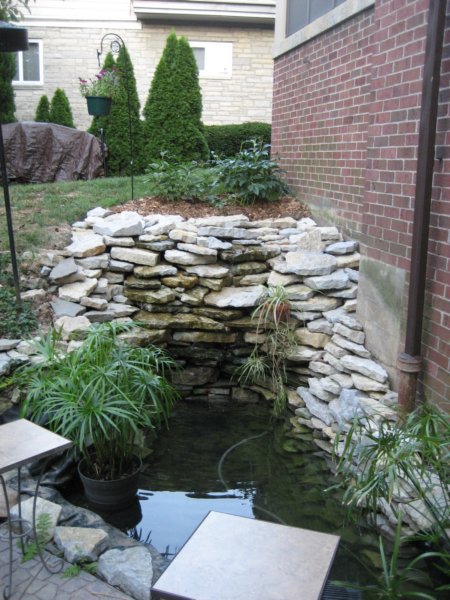backyardwaterfall.jpg