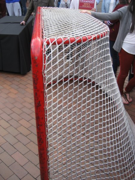netminder.jpg