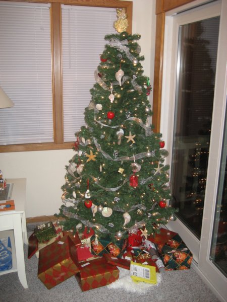 newtree.jpg
