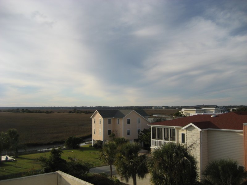 birdislandmarsh.jpg