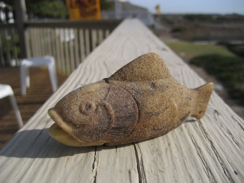 fishflashlight.jpg