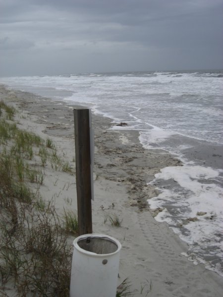 hightide.jpg