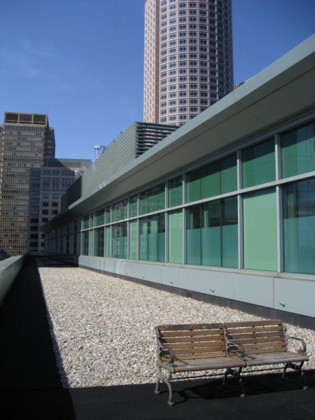 rooftopdeck.jpg
