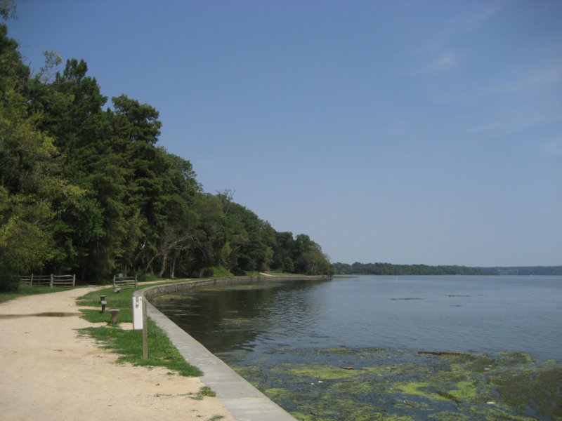 riverbank.jpg