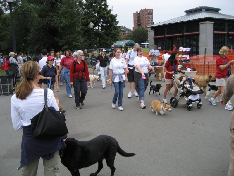mspca.jpg