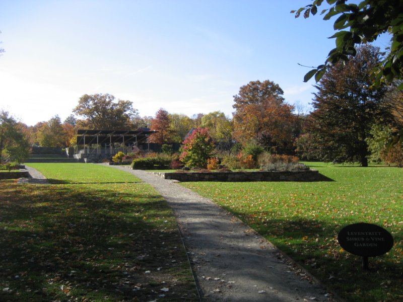 arnoldarboretum.jpg