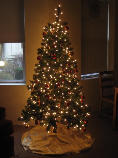 christmastree.jpg