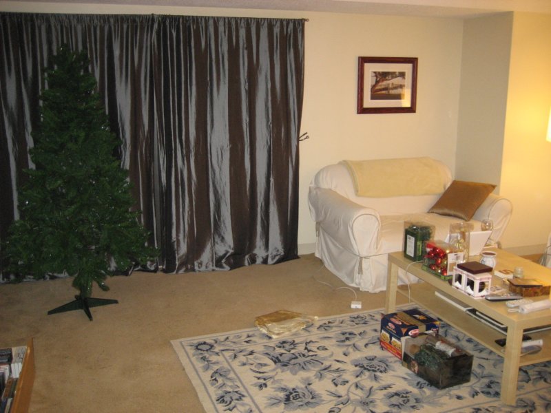 settingupthetree.jpg
