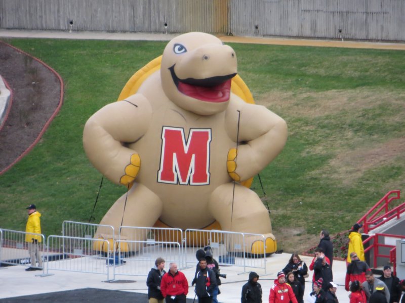 inflatableterrapin.jpg