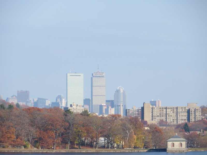 viewofbostonfromalumni.jpg