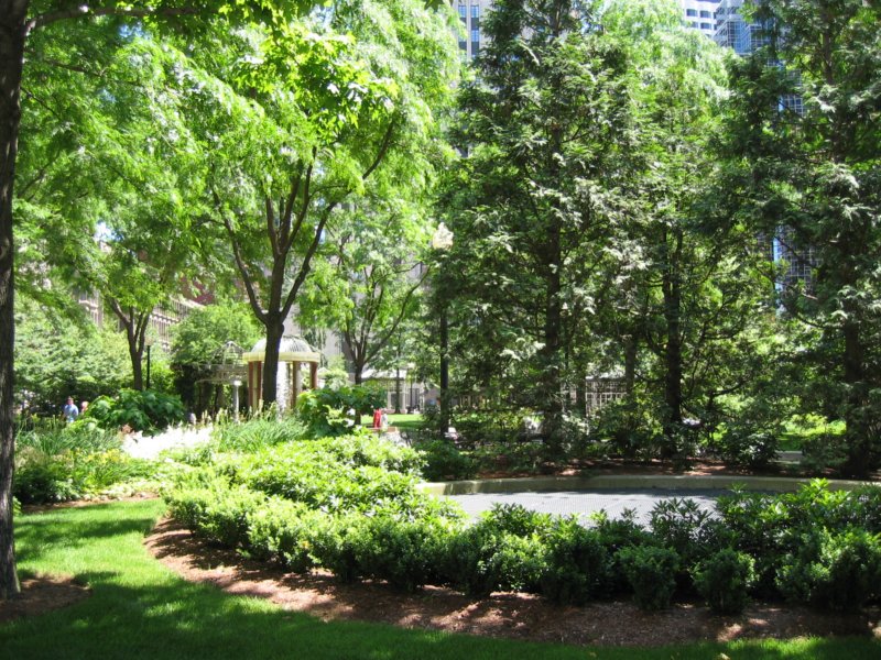 parkfoliage.jpg
