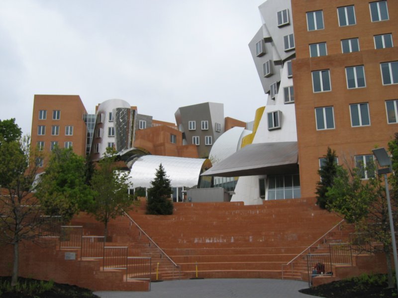 newbuilding.jpg