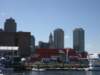 pumacityandboston_small.jpg
