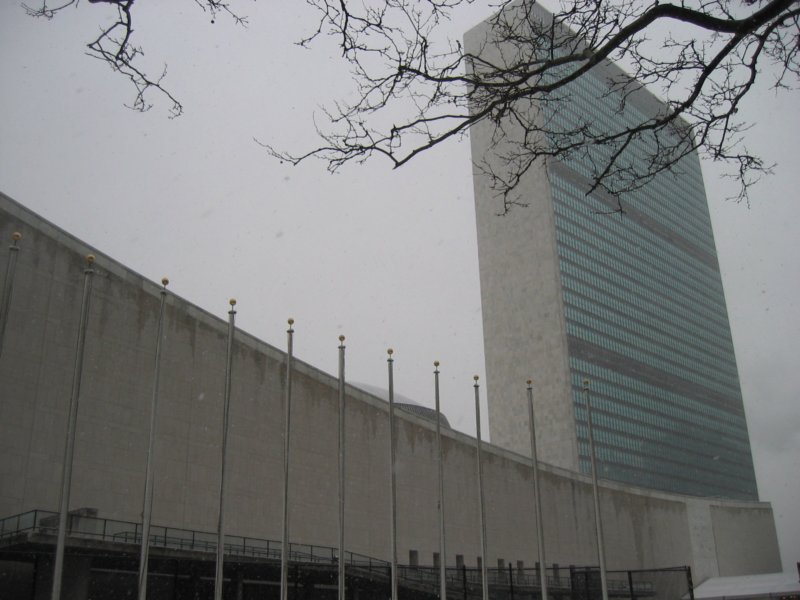 swingbytheun.jpg