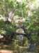 centralparkwilderness_small.jpg