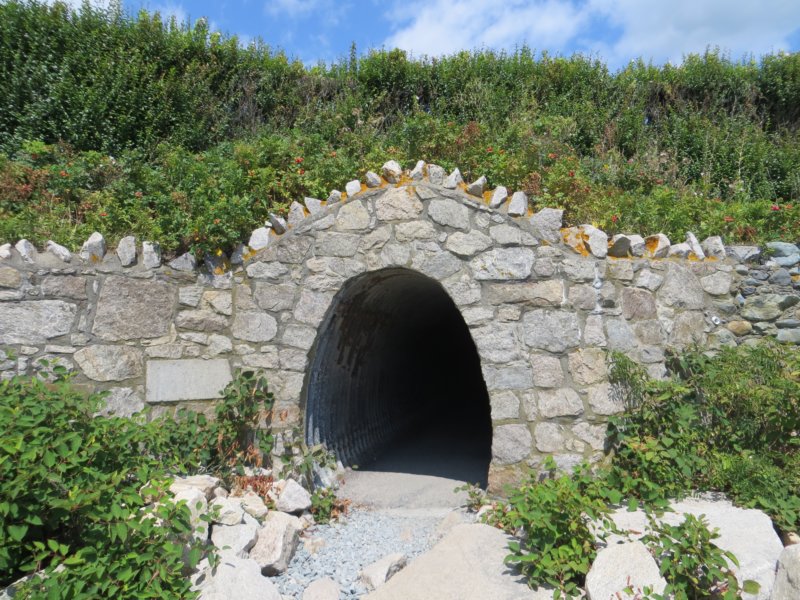 anothercliffwalktunnel.jpg