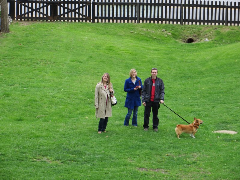 dogwalkwithjoey.jpg