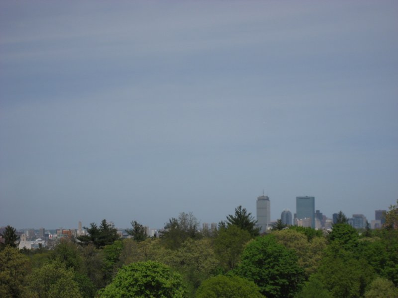 bostonview.jpg