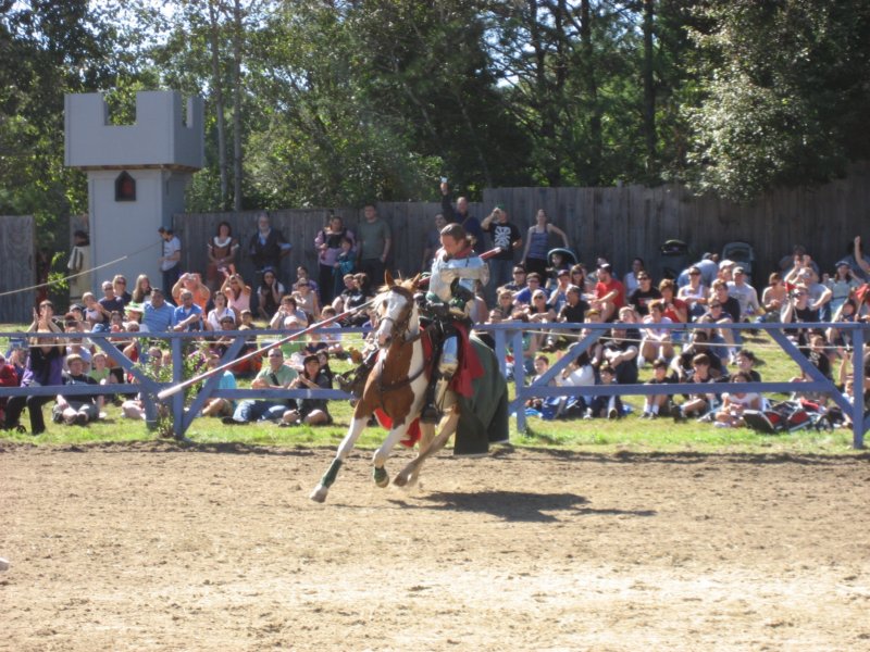 joustingshow.jpg
