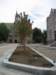 landscaping_small.jpg
