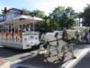 trolleydowntown_small.jpg