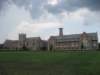muchnewer_small.jpg