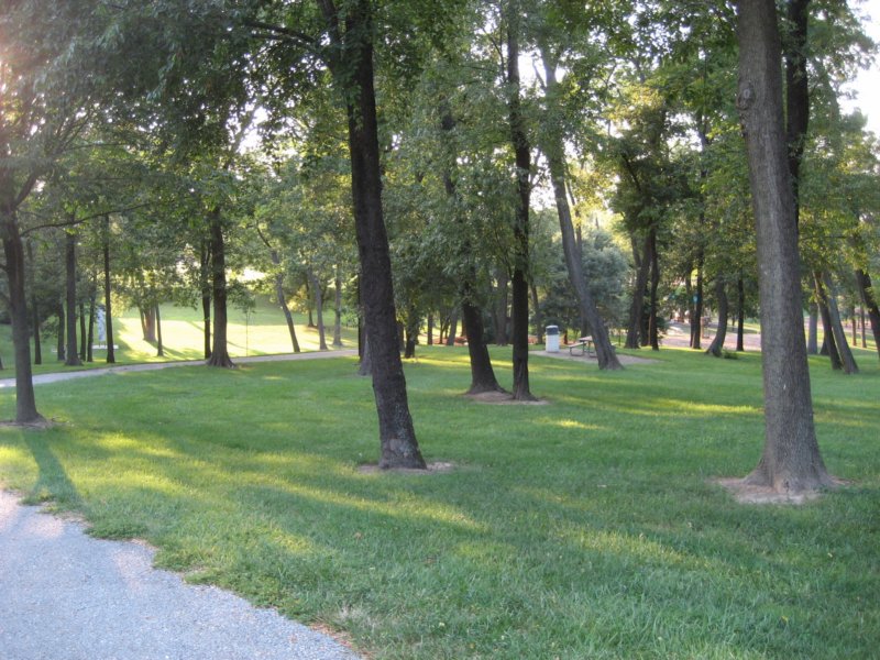 opengreen.jpg