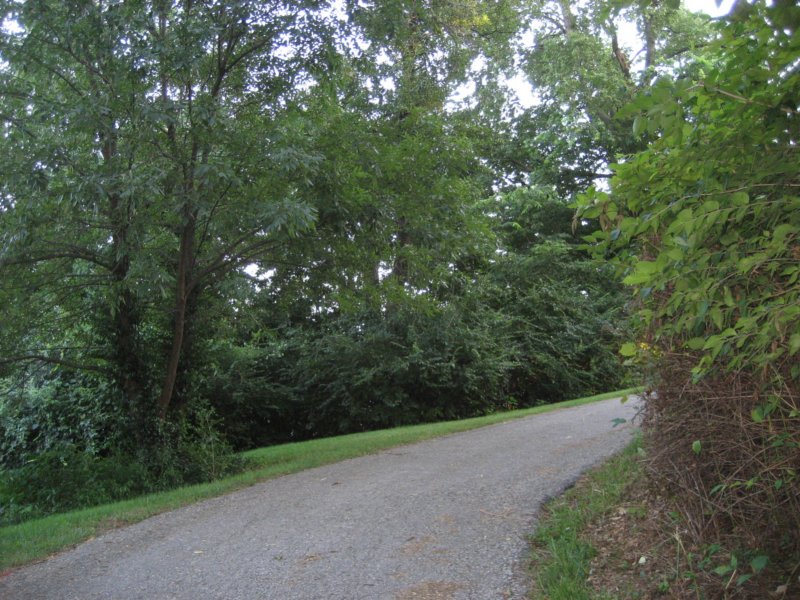 parkpath.jpg
