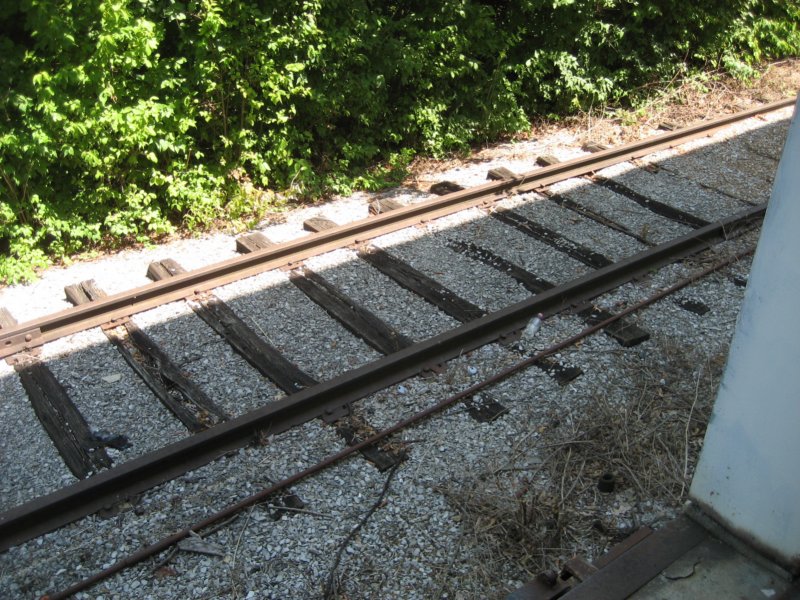 traintracks.jpg