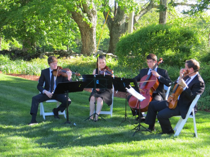 stringquartet.jpg