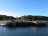 dockforpeddocksisland_small.jpg