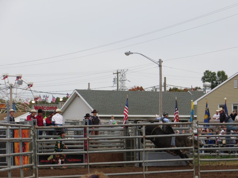 somebullriding.jpg