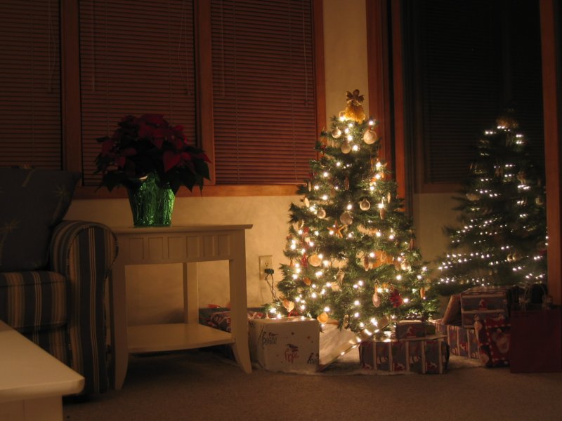 xmastree.jpg