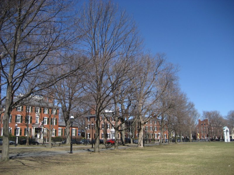 salemcommon.jpg