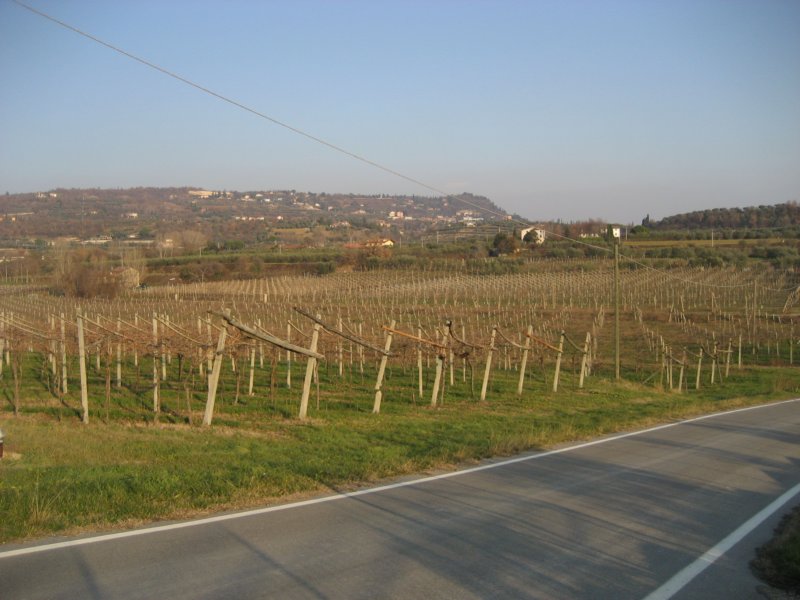 bardolino.jpg