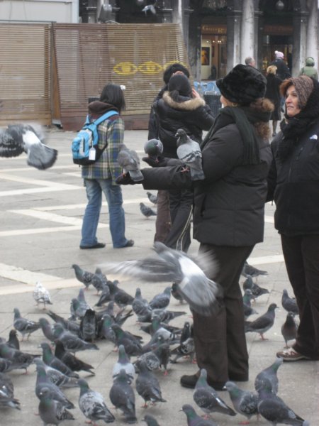 pigeonproblem.jpg