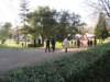 thepark_small.jpg